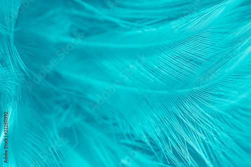 feather color turquoise emerald green background 