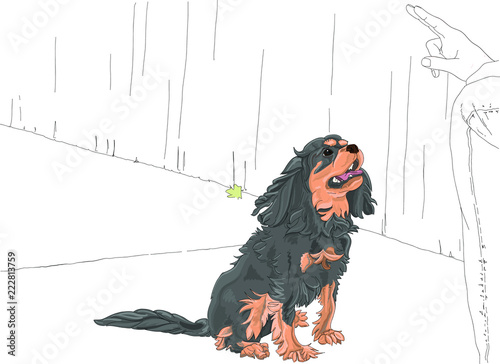 Hand drawn vector illustration. Cute Cavalier King Charles Spaniel learns to sit and stay outdoors on a sidewalk.