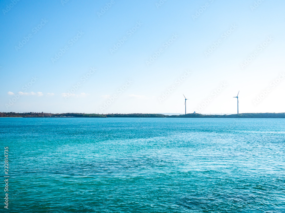 夏のひと時 夏のひと時