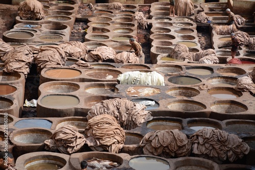 Busy day at Chaouara Tanneries in Fez, Morocco,