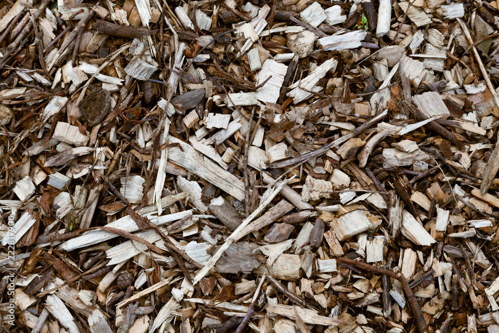 Wood chips and twigs as a background Wood chips and twigs as a background