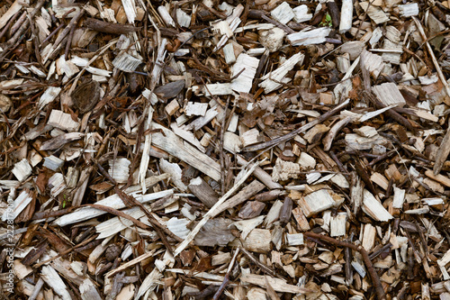 Wood chips and twigs as a background