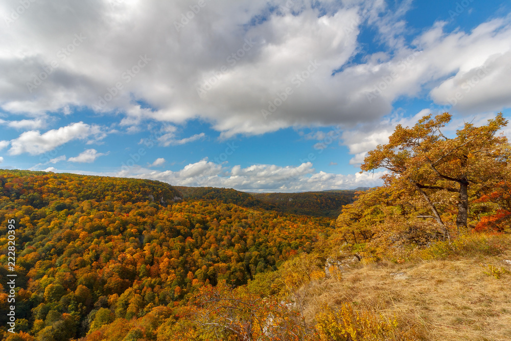 autumn landscape. top view of the yellowing leaves of the trees in the forest and blue cloudy sky on a warm Sunny autumn day