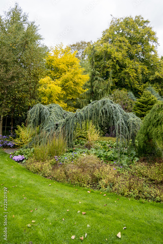Fototapeta premium Bressingham Gardens - west of Diss in Norfolk, England - United Kingdom