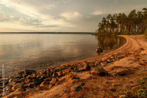 The sandy shore of the northern lake lit by the setting sun, the pine forest in the distance and the stones in the foreground