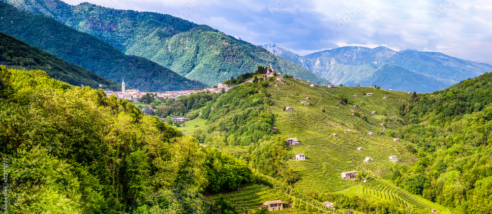 Panorama of the Valdobbiadene wine region, Italy - obrazy, fototapety, plakaty 