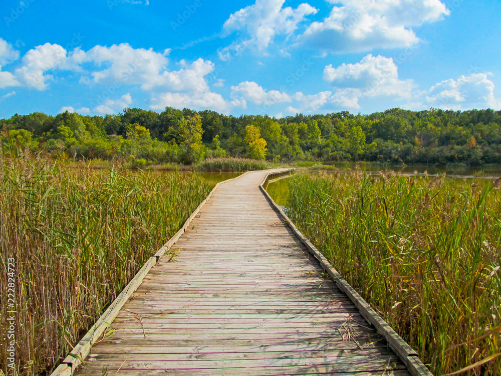 A pond in a public park and wooden foot bridge. Early autumn landscape on a sunny day. A pond in a public park and wooden foot bridge. Early autumn landscape on a sunny day.
