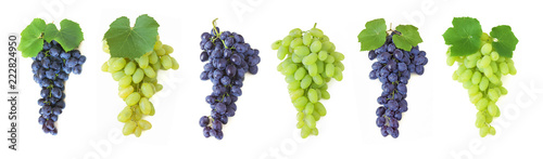 grapes brunch isolated on white background