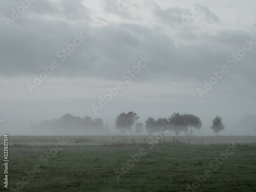 nebel
