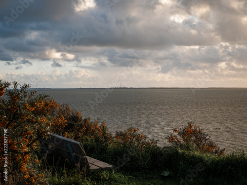 landschaft