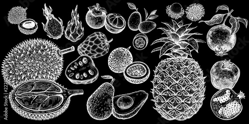 Exotic fruits isolated set. White chalk on black board.