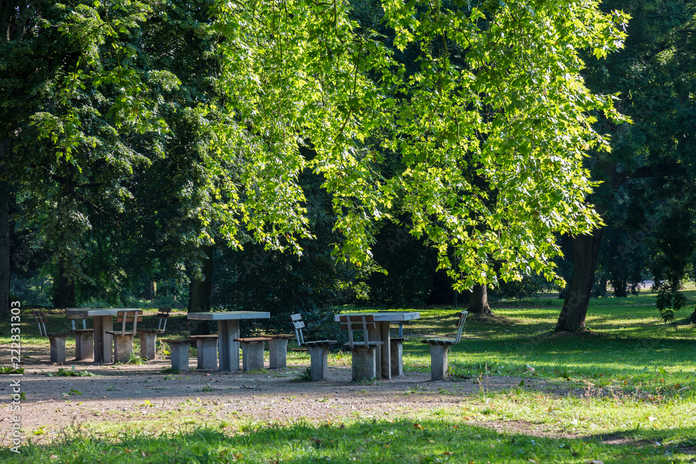 Tables and chairs under trees in park