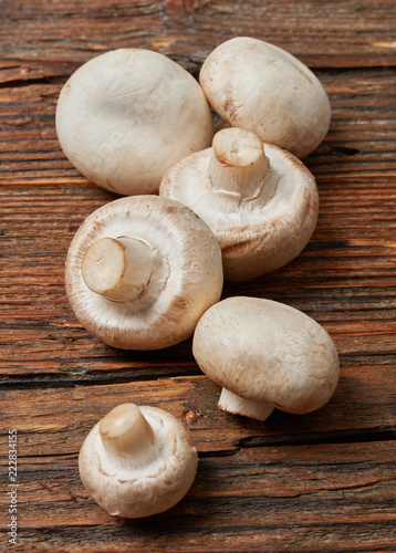 Champignons mushrooms close-up