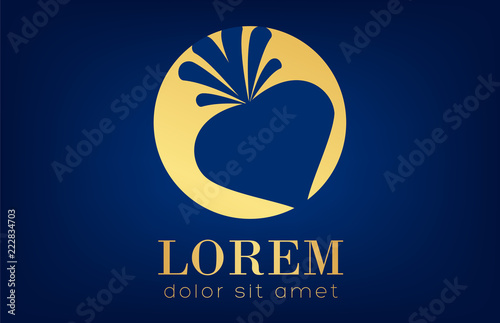 Beet logo vector golden design. Vegetable and food.