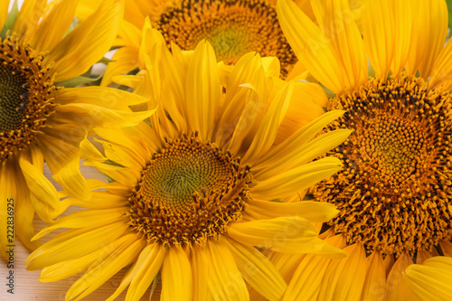 a lot of yellow bright sunflower flowers close-up on a natural wooden table