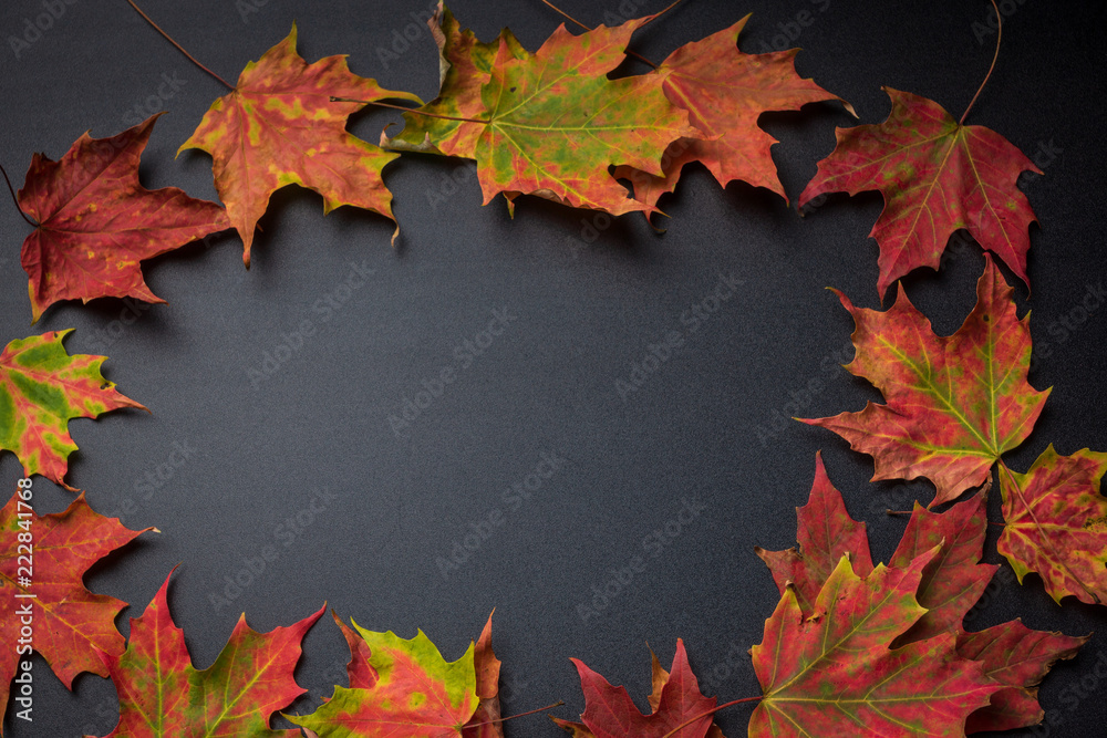 Overhead view of colorful fall leaves Overhead view of colorful fall leaves