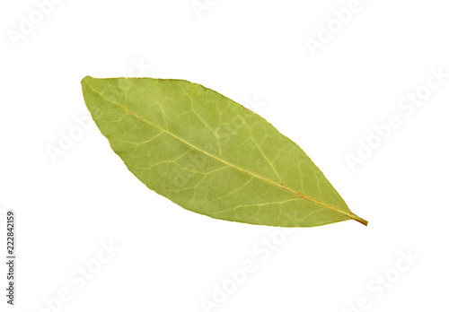 Green laurel leaf isolated on white background