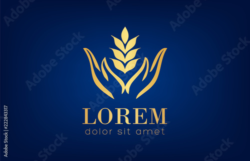 Plant in hand logo