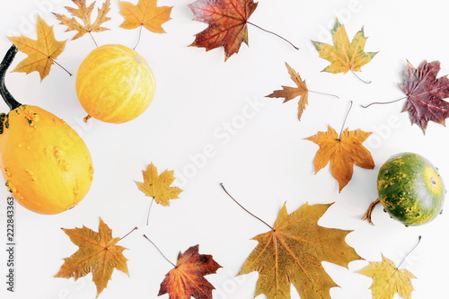 Autumn composition. Thanksgiving day concept. Frame made of pumpkins, red and yellow leaves on white background. Autumn, fall, background. Flat lay, top view, copy space 