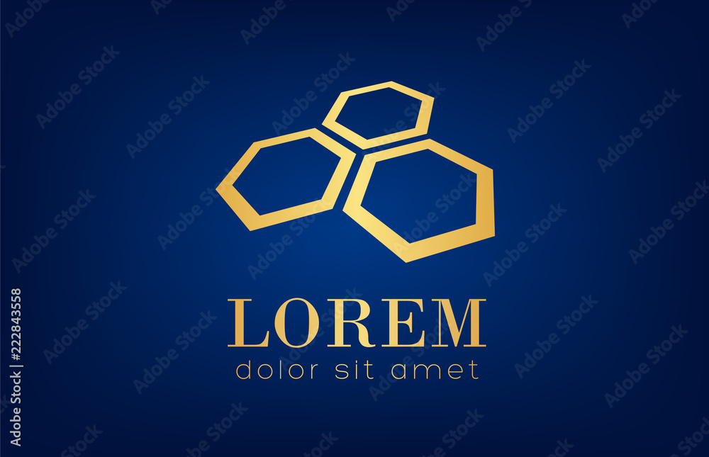 Fototapeta premium Honeycombs logo vector