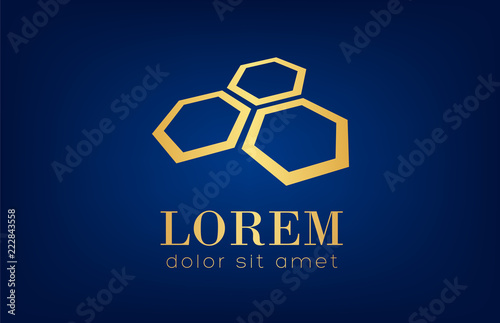 Honeycombs logo vector