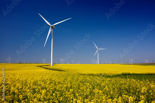 Wind turbines. Fields with windmills. Rapeseed field in bloom. Renewable energy. Protect the environment. © dpVUE .images