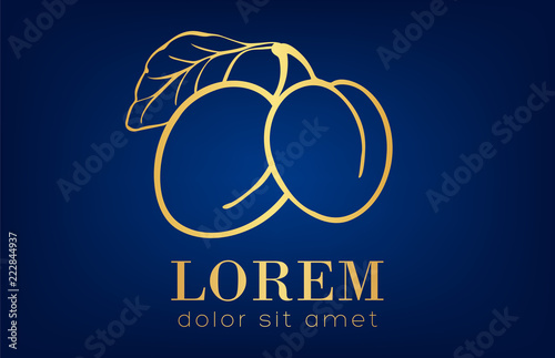 plums with leaf logo vector