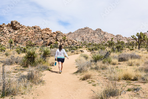 Hiker on Boy Scout Trail in Joshua Tree National Park  California