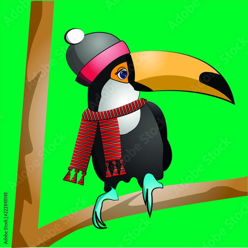bird