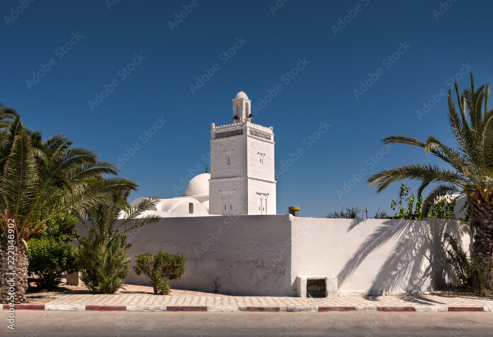white mosque in Tunis
