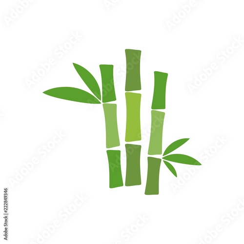Tropical leaves bamboo tree icon © sljubisa
