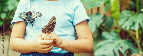Photography Close up of cute little girl holding butterfly on hand and looking at it