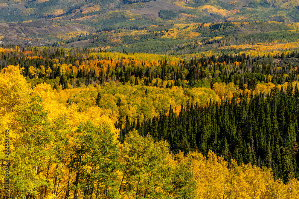Fall in Steamboat Springs Colorado