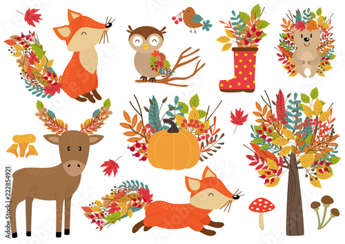 set of isolated forest animals and autumn plants - vector illustration, eps