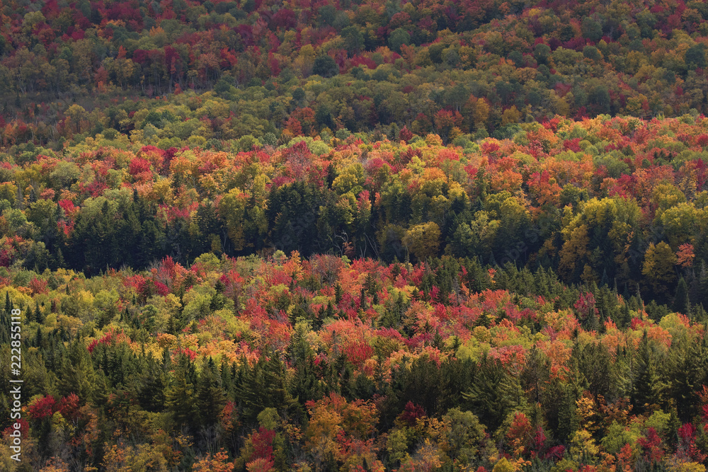 miles of fall color in the adirondacks