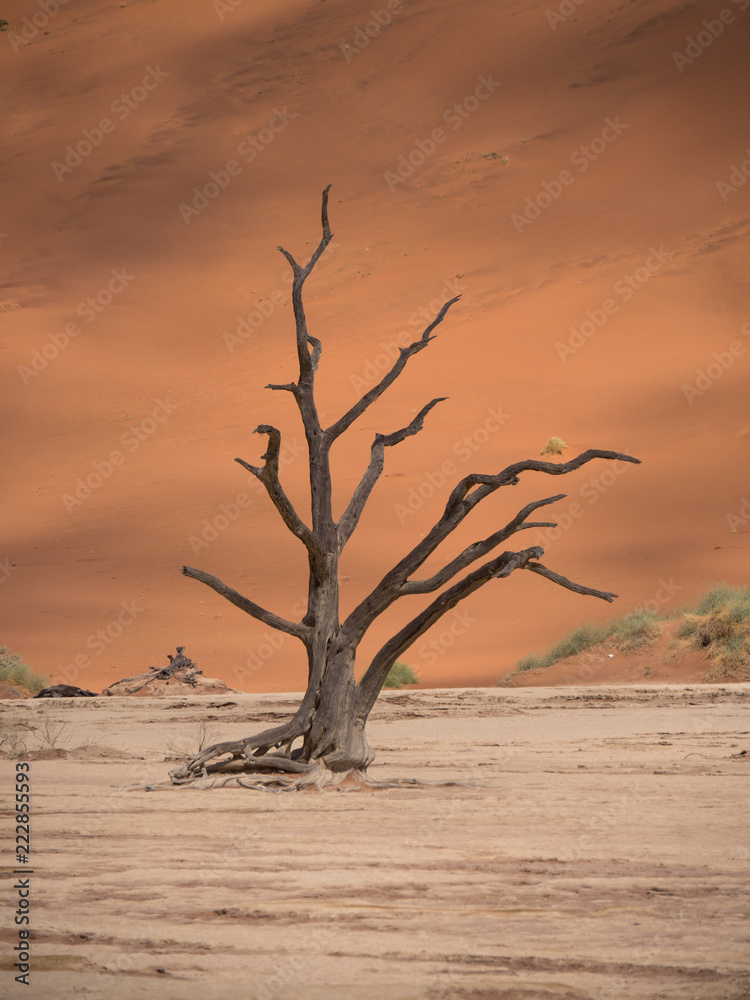 DeadVlei salt pan in Sossusvlei, inside the Namib-Naukluft Park in Namibia. DeadVlei salt pan in Sossusvlei, inside the Namib-Naukluft Park in Namibia.