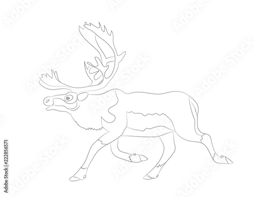 deer running  vector lines