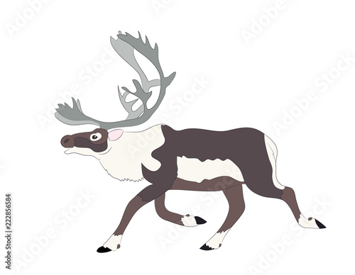  drawing of the deer which runs, vector