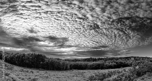 Beautiful mackerel sky cirrocumulus altocumulus cloud formations in Summer sky landscape black and white image
