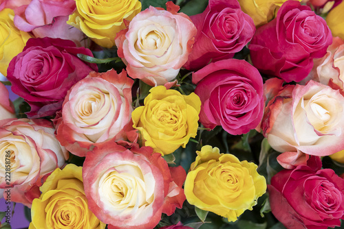 Pink, yellow, red and orange roses.