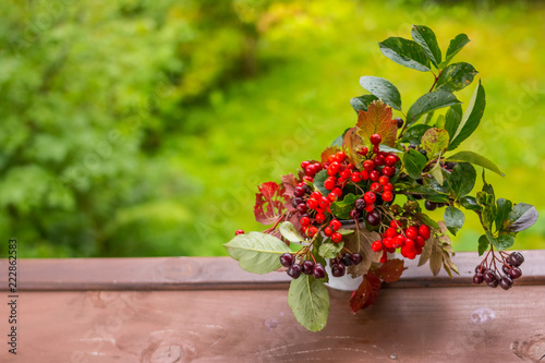 Bright composition of red berries, Rowan, cones and acorns on rustic wooden table on green nature background in autumn. closup. Bright Fall branch of red viburnum with red leaves.Copy space