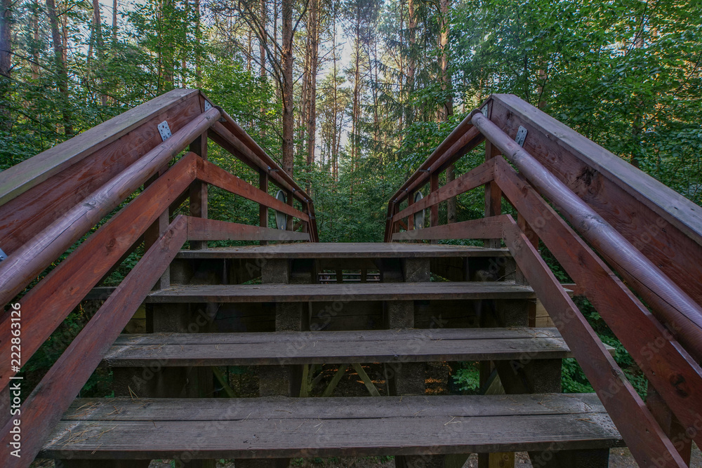 Brücke Überführung im Wald