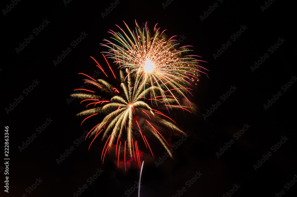 Colorful fireworks on the black sky.