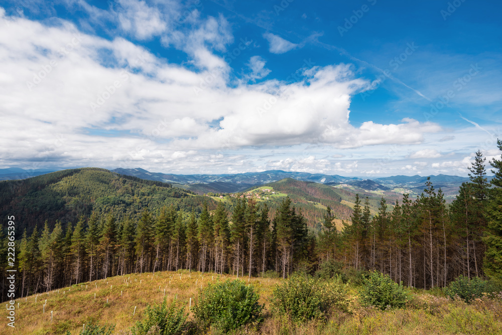 Vizcaya forest and mountain landscape, Basque country, Spain.