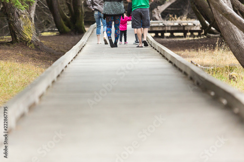 Family walking on wooden boardwalk leading to the beach