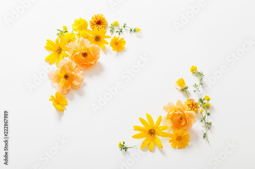 yellow  flowers on white background