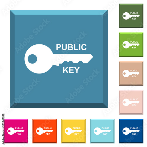 Public key white icons on edged square buttons