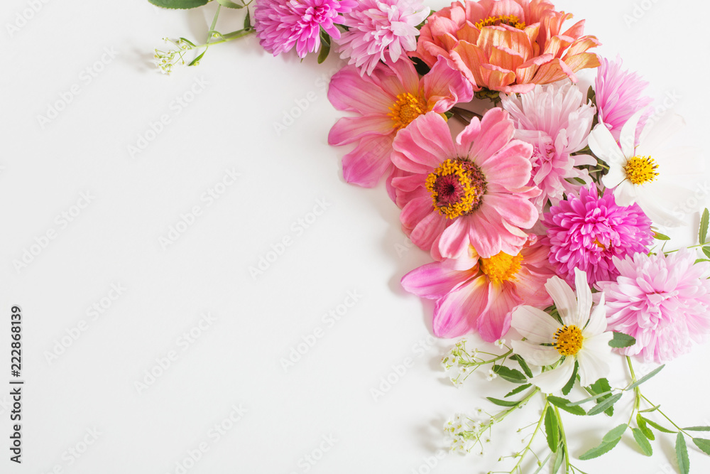 pink flowers on white background