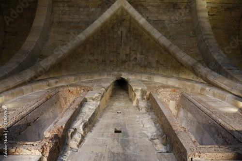Cuadro en lienzo Canna Fumaria, Interno Castel del Monte, patrimonio UNESCO - Andria