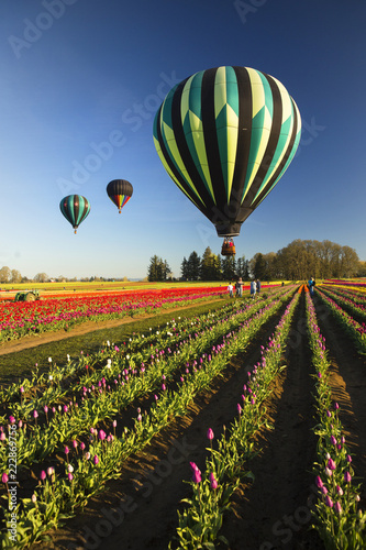 Hot air balloons over colorful fields of tulips in the Pacific Northwest